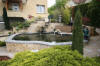 Petit bassin � koi en Alsace : les premi�res photos  51 