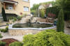 Petit bassin � koi en Alsace : les premi�res photos  50 