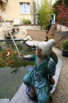 Petit bassin � koi en Alsace : les premi�res photos  29 
