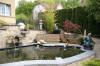 Petit bassin � koi en Alsace : les premi�res photos  23 