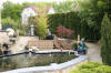 Petit bassin � koi en Alsace : les premi�res photos  13 