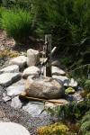 bassin a Ko� dans un jardin Alsace 2007 - 2  32 