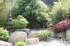 bassin a Ko� dans un jardin Alsace 2007 - 3  31 