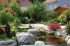 bassin a Ko� dans un jardin Alsace 2007 - 4  6 