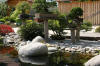 bassin a Ko� dans un jardin Alsace 2007 - 5  38 
