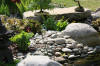 bassin a Ko� dans un jardin Alsace 2007 - 5  37 