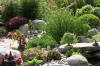 bassin a Ko� dans un jardin Alsace 2007 - 5  19 