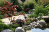 bassin a Ko� dans un jardin Alsace 2007 - 5  30 