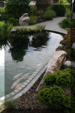 AS II Aberle - Le petit bassin plant�  7 