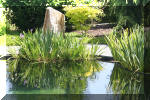 AS II Aberle - Le petit bassin plant�  11 
