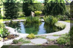 AS II Aberle - Le petit bassin plant�  9 