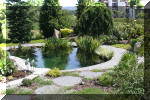 AS II Aberle - Le petit bassin plant�  3 
