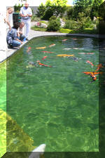 AS II Aberle - Premi�re photos  42 