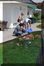 AS II Aberle - Premi�re photos  24 