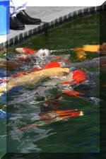 AS II Aberle - Premi�re photos  13 