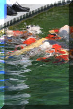 AS II Aberle - Premi�re photos  10 