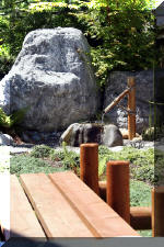 Le bassin de bandito en 2005 - L'entr�e  7 