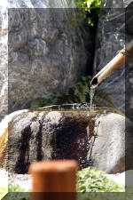 Le bassin de bandito en 2005 - L'entr�e  6 