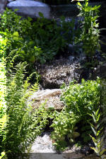 Le bassin de bandito en 2005 - La cascade  6 