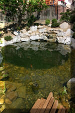 Une cr�ation de Bandito - bassin � ko�  10 