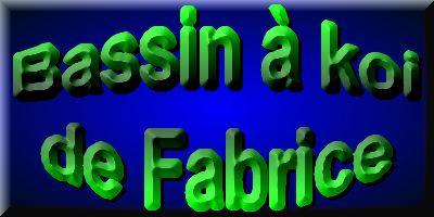 Le bassin � koi de Fabrice La suite des koi  1 