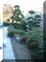 Bassin � ko� 2_1  3 