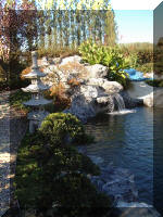 Bassin � ko� 70t 1  16 