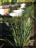 Bassin � ko� 110t  29 