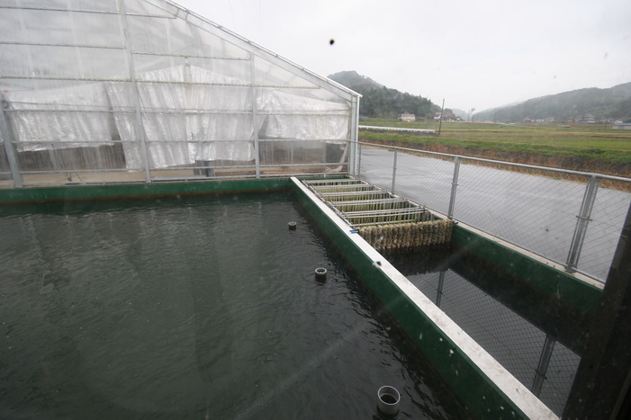 Filtration de SFF la r�serve d'eau - Filtration of SFF The water reserve  2 