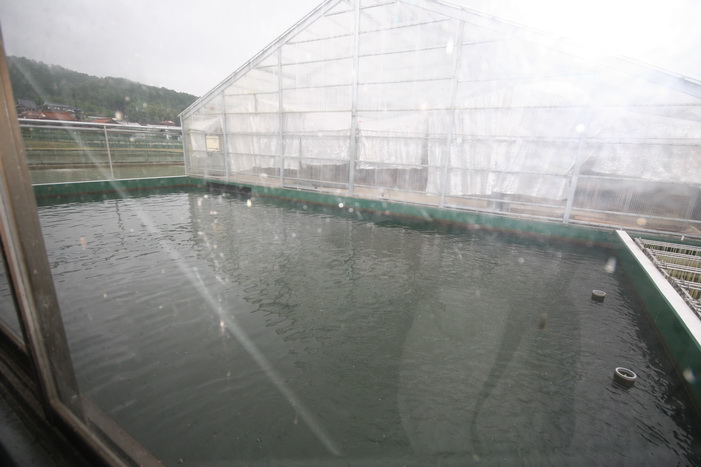 Filtration de SFF la r�serve d'eau - Filtration of SFF The water reserve  3 