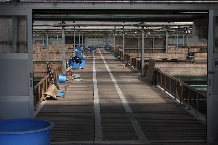 Filtration de SFF circuit de filtration interne des bassins - Filtration of SFF individual pond�s filtration circuit  2 