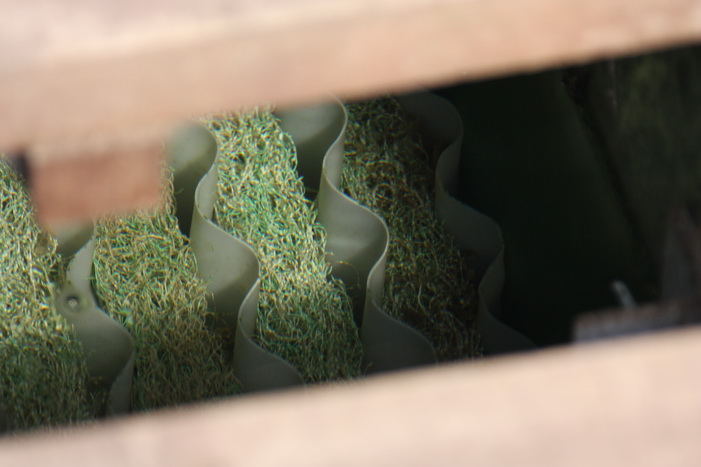 Filtration de SFF circuit de filtration interne des bassins - Filtration of SFF individual pond�s filtration circuit  4 