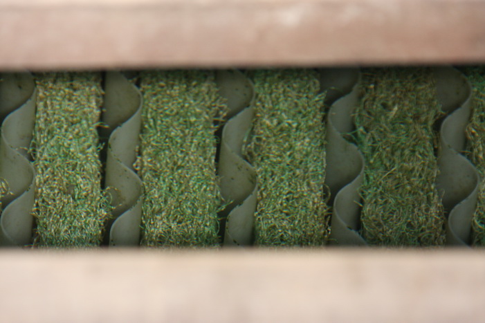 Filtration de SFF circuit de filtration interne des bassins - Filtration of SFF individual pond�s filtration circuit  3 