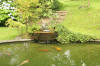Le bassin � koi de Luc   17 