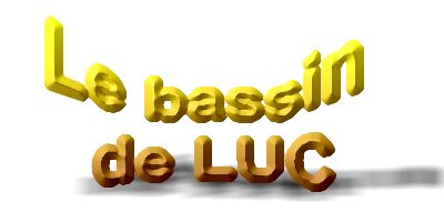 Le bassin � koi de Luc   1 