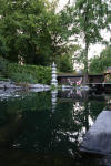 Garden party in Germany - le bassin - the pond 1  3 