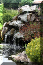 Un bassin � champions  3 