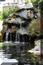 Un bassin � champions  5 