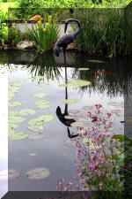 Un bassin � champions le bassin  14 