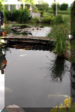 Un bassin � champions le bassin  19 