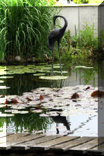 Un bassin � champions le bassin  21 