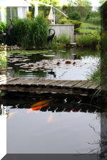 Un bassin � champions le bassin  9 