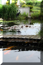 Un bassin � champions le bassin  7 