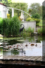 Un bassin � champions le bassin  5 