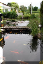 Un bassin � champions le bassin  3 