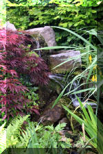 Un bassin � championsla rivi�re  14 