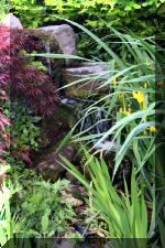 Un bassin � championsla rivi�re  20 