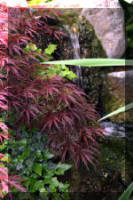 Un bassin � championsla rivi�re  24 