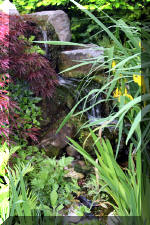 Un bassin � championsla rivi�re  22 