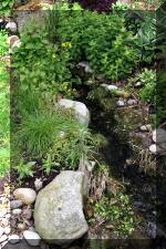 Un bassin � championsla rivi�re  8 